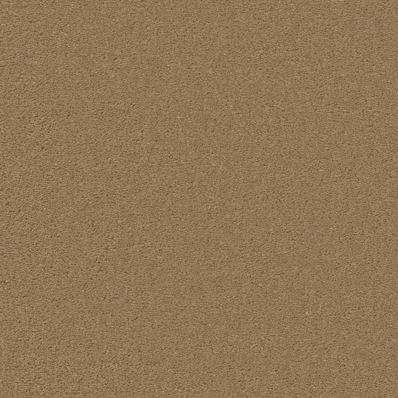 Tuftex Finery Cider SHAW