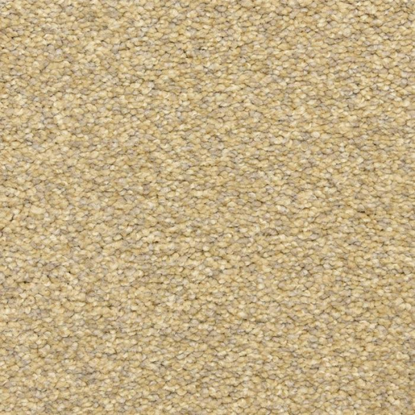 Masland Carpets Staccato Classical Masland