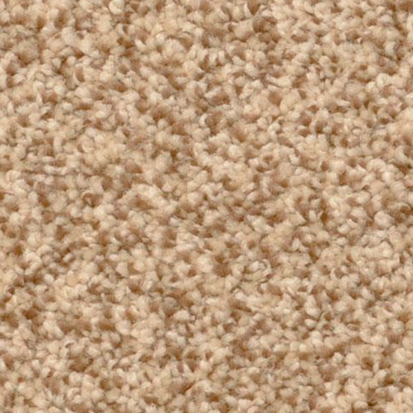 Dixie Home Cozy Mesa