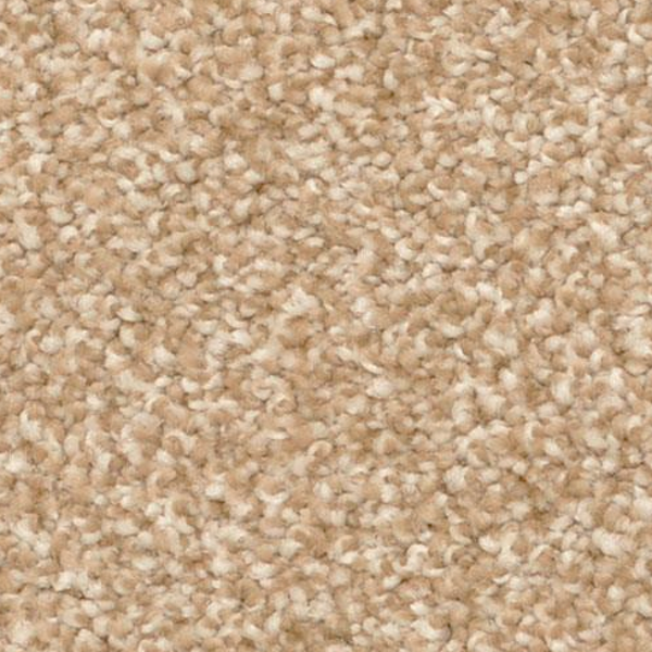 Dixie Home Cozy Cameo