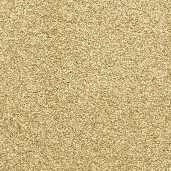 Dixie Home Star Power Cameo