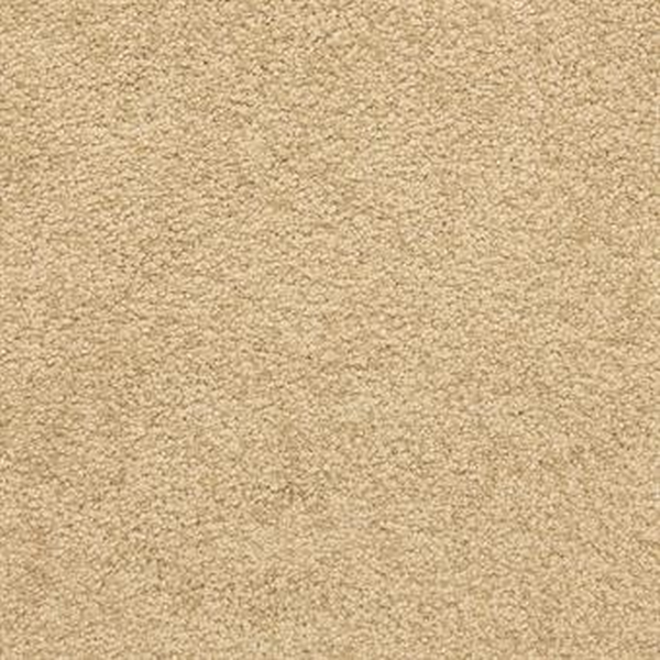 Masland Carpets Knockout Rush Masland