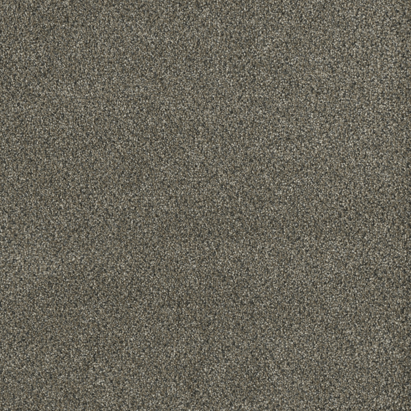 Dreamweaver Carpet Malibu I Brentwood DREAMWEAVER