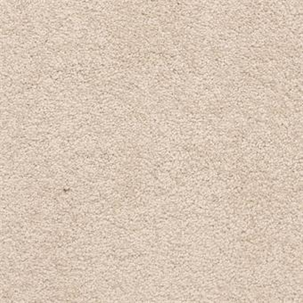 Masland Carpets Knockout Canvas Masland