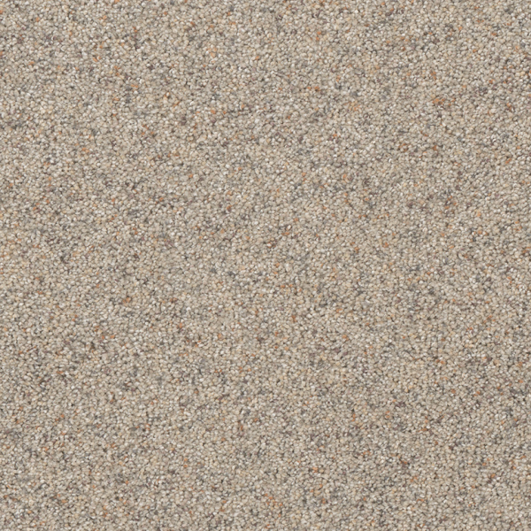 Dreamweaver Carpet Astounding I Fine Details DREAMWEAVER