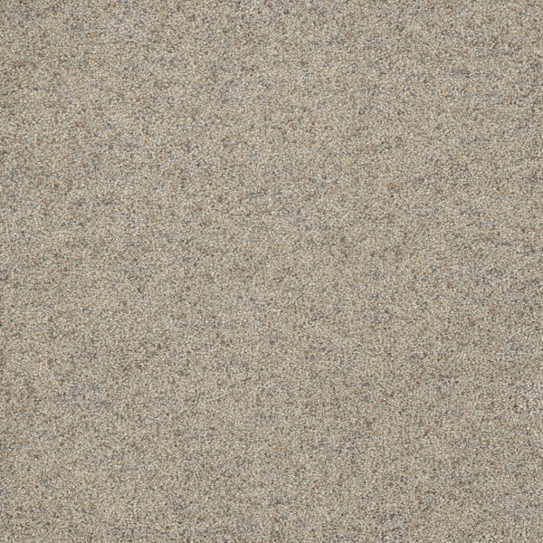 Dreamweaver Carpet Astounding II Fine Details DREAMWEAVER