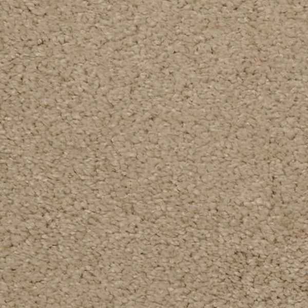 Dixie Home Soft And Silky Devoted