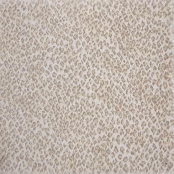 Stanton Carpet Zaza Pearl Stanton