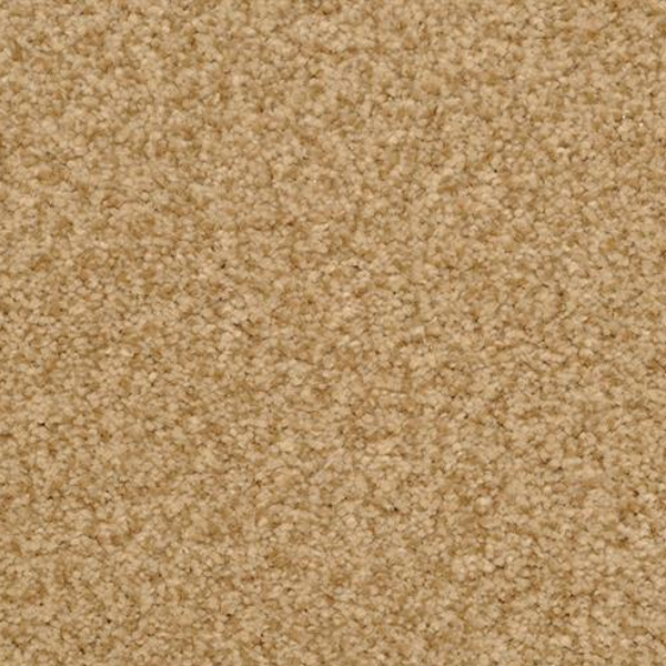 Dixie Home Chromatic Touch Cheetah