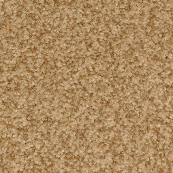 Dixie Home Innovations Cheetah