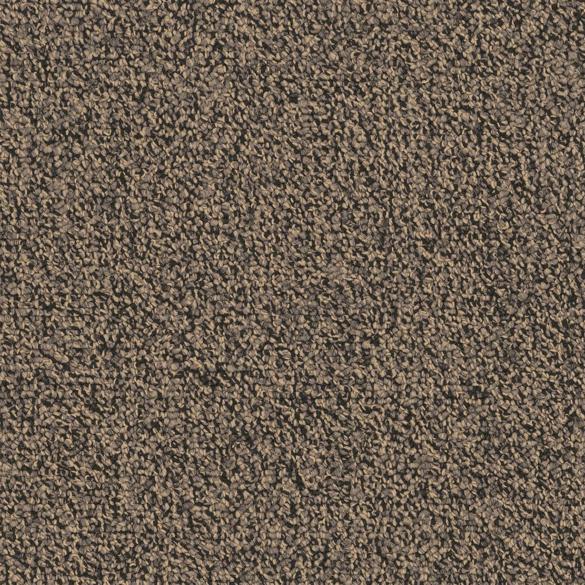 Pentz Commercial Chivalry 20 Honor ENGINEERED FLOORS