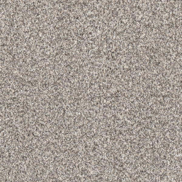 Dreamweaver Carpet Affinity II Wheat DREAMWEAVER