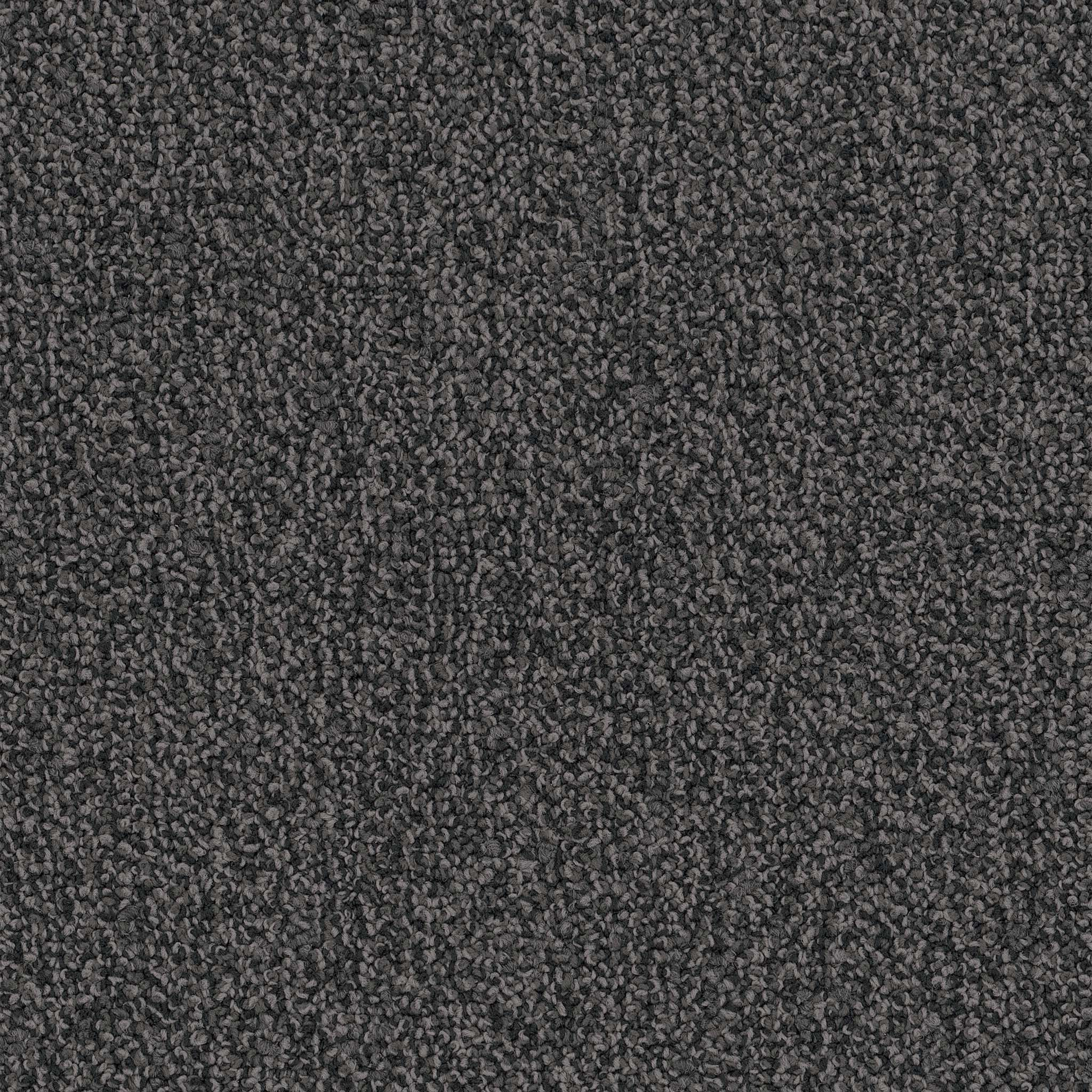 Pentz Commercial Chivalry 26 Gentleman ENGINEERED FLOORS