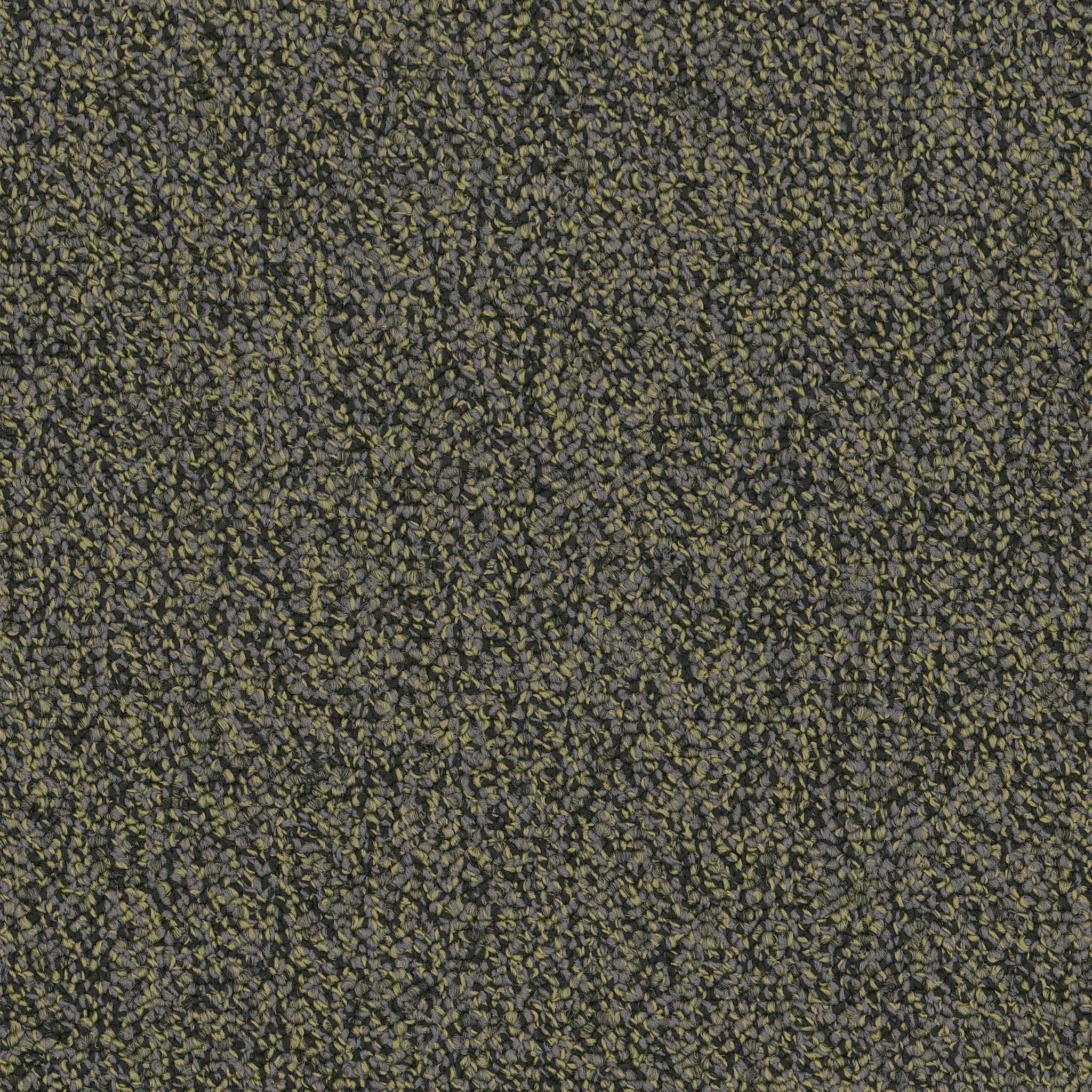 Pentz Commercial Chivalry 26 Generous ENGINEERED FLOORS