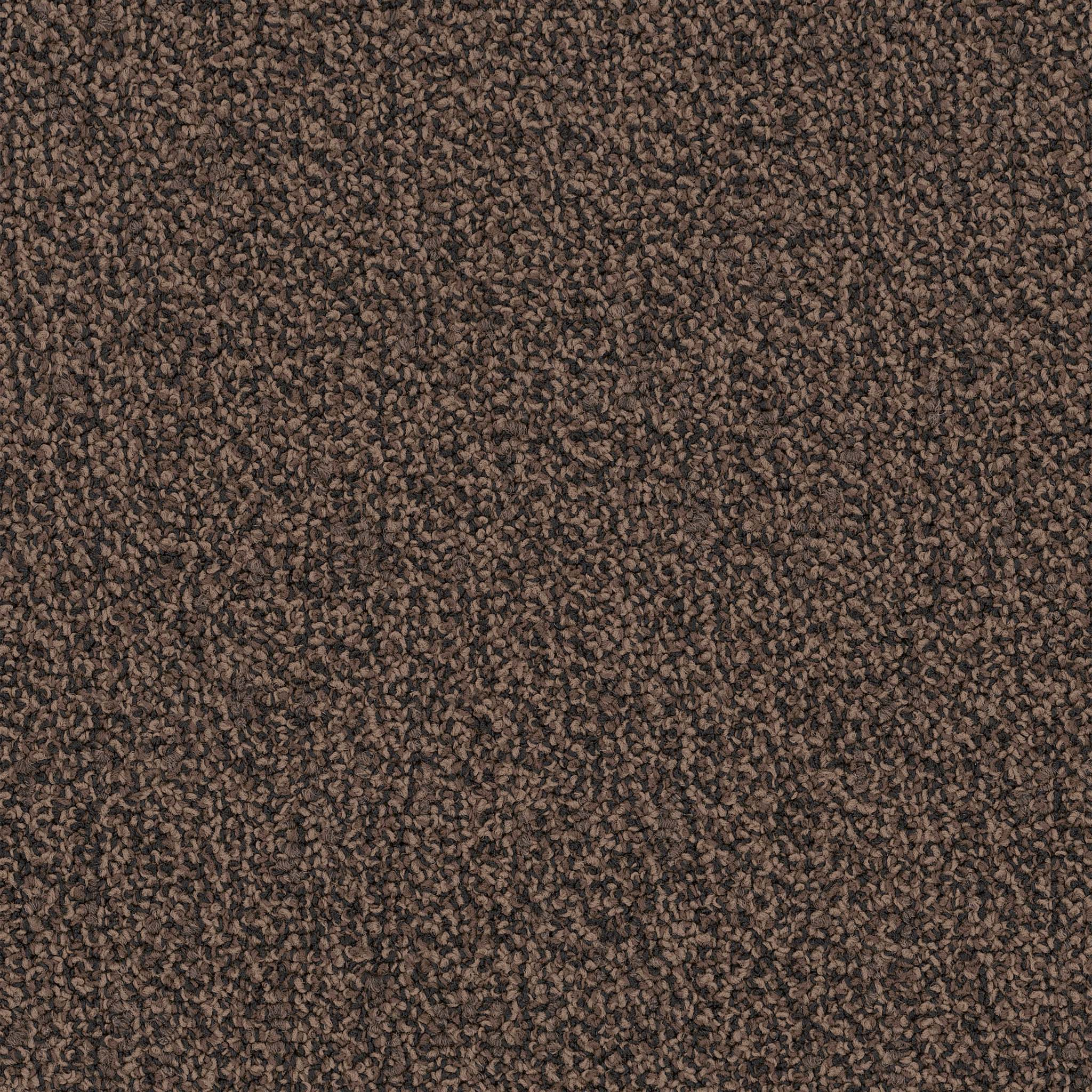 Pentz Commercial Chivalry 26 Humanity ENGINEERED FLOORS