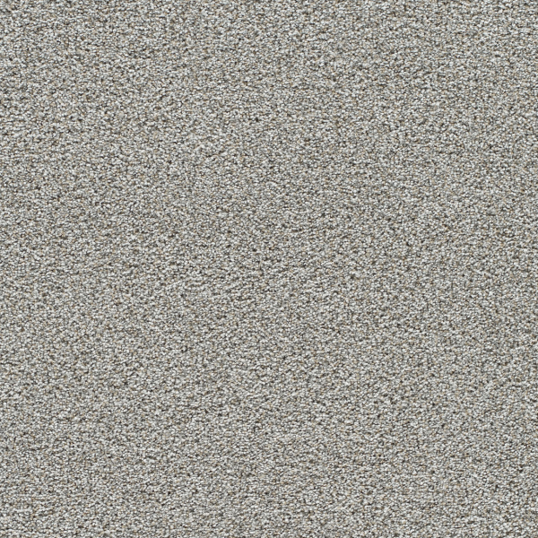 Dreamweaver Carpet Gold Standard II Quartz DREAMWEAVER