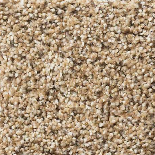 Shaw Floors Elemental Mix I Bridle Leather SHAW