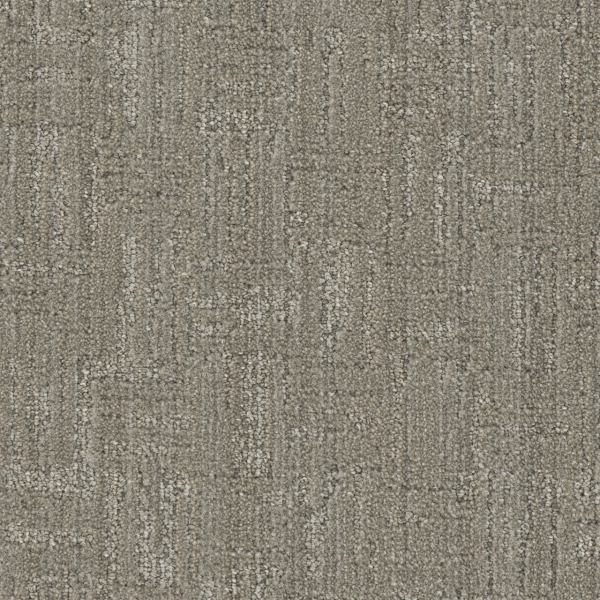 DW Select Carpet Century II Mexicali DREAMWEAVER