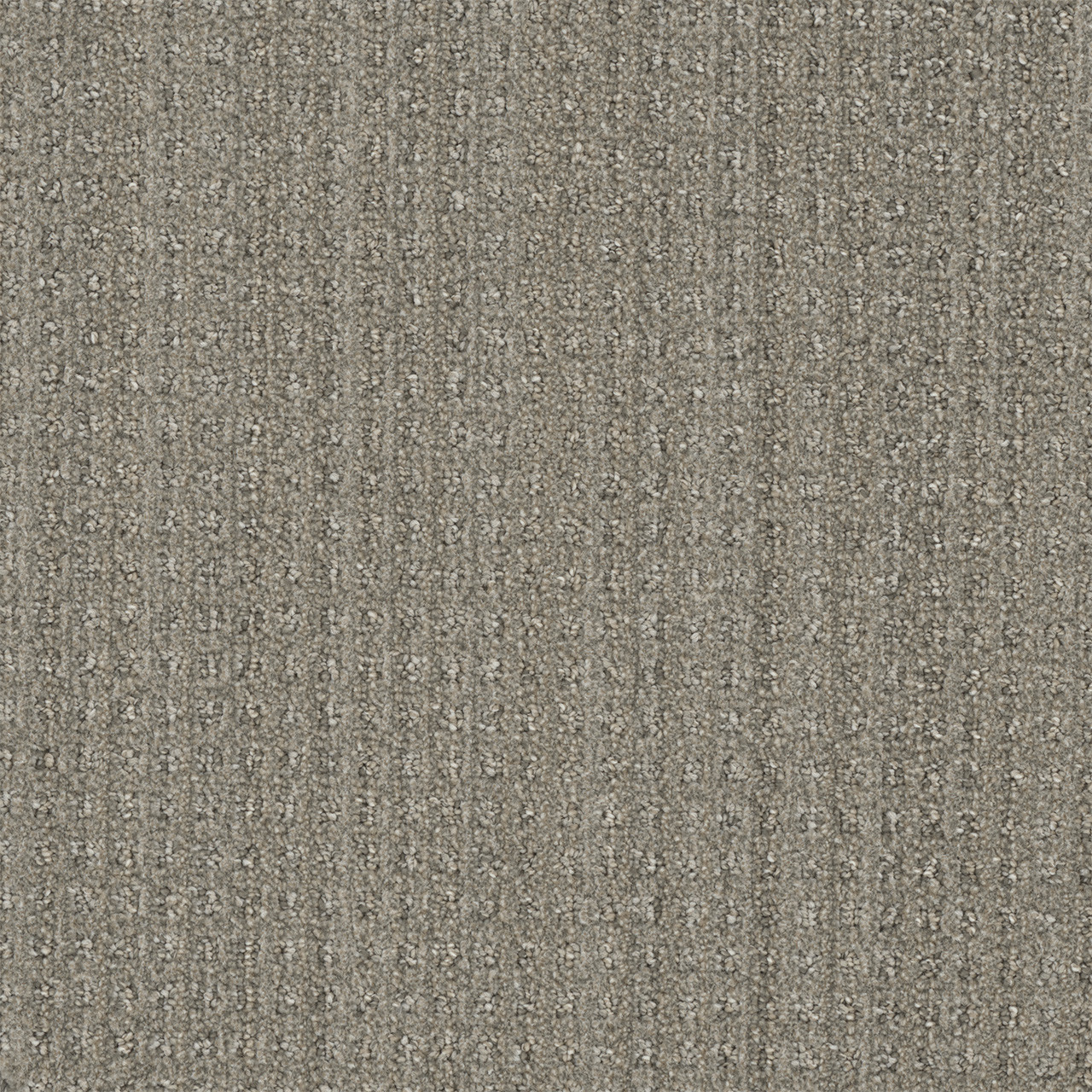 DW Select Carpet Dublin II Mexicali DREAMWEAVER