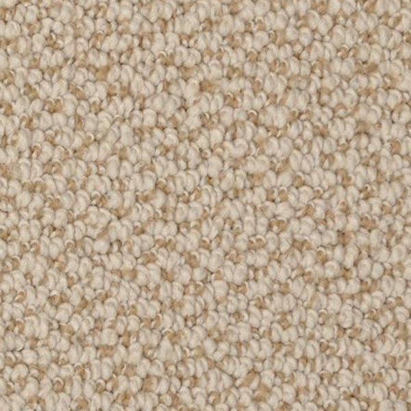 Dixie Home Authentic Living Tracery