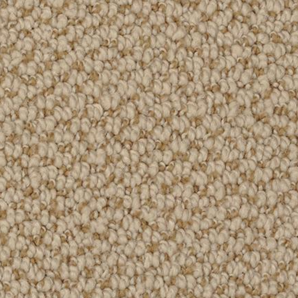 Dixie Home Authentic Living Ruin