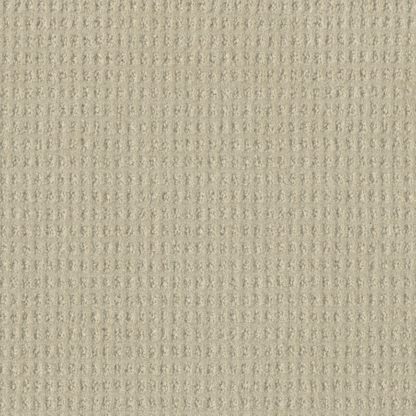 Dreamweaver Carpet Perfect Balance Wishful DREAMWEAVER