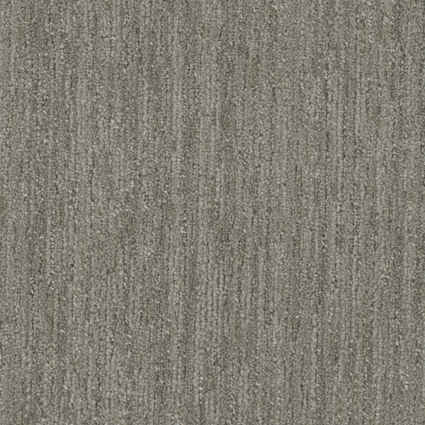 DW Select Carpet Baja Barrel Cactus DREAMWEAVER