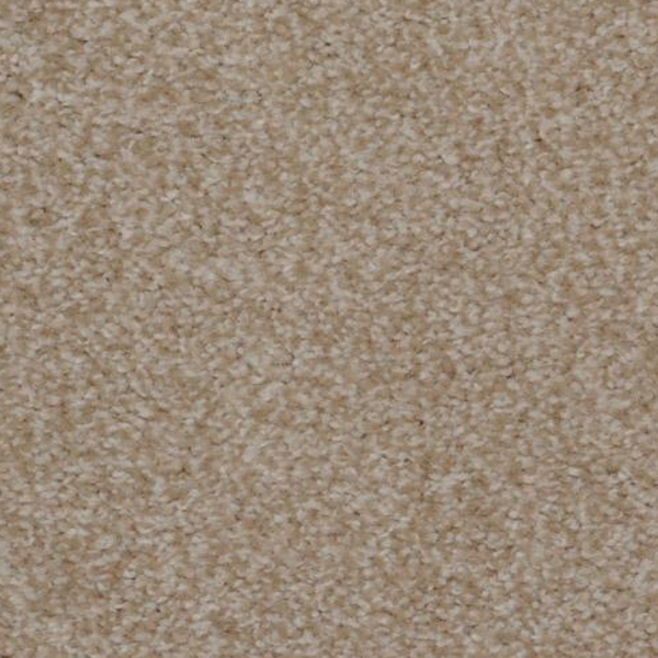 Dixie Home Spellbinding New Taupe