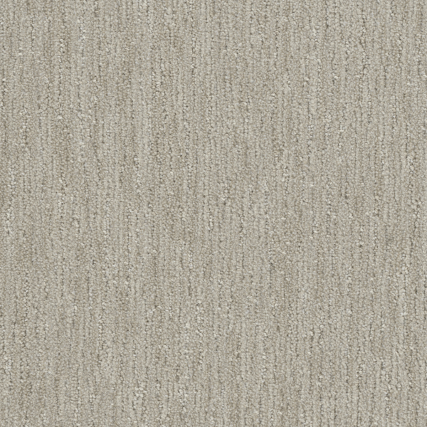 DW Select Carpet Baja Osprey DREAMWEAVER