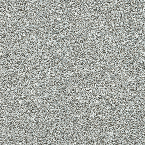 Dreamweaver Carpet Captivating I Chilly Night DREAMWEAVER