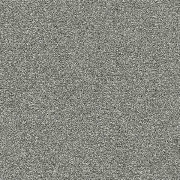 Dreamweaver Carpet Clearwater II Chilly Night DREAMWEAVER