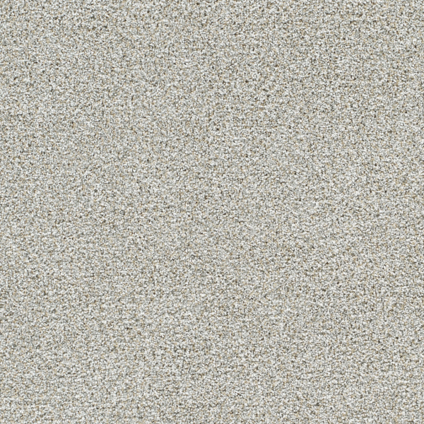 Dreamweaver Carpet Silver Lining II Distrail DREAMWEAVER