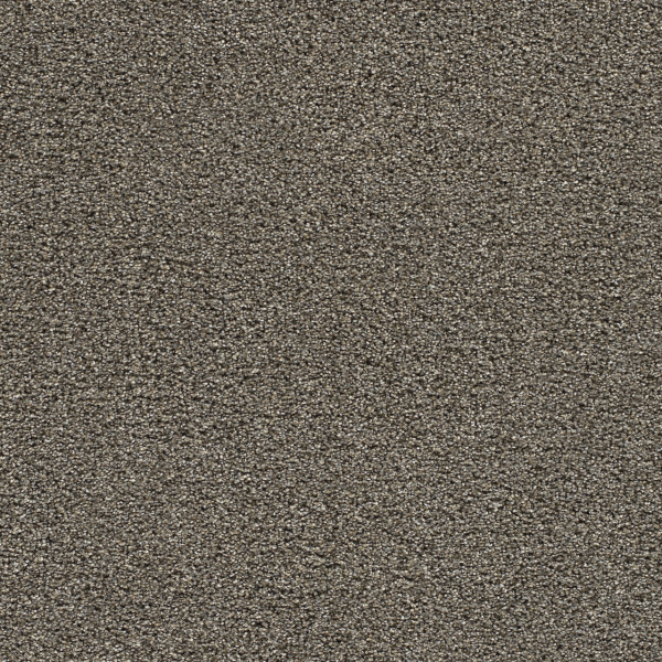 Dreamweaver Carpet Gold Standard II Ingot DREAMWEAVER