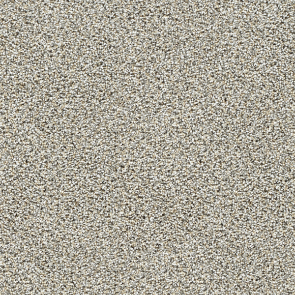 Dreamweaver Carpet Captivating I Gingerbread DREAMWEAVER