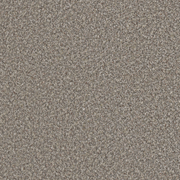 Dreamweaver Carpet Out of This World I Meteor DREAMWEAVER