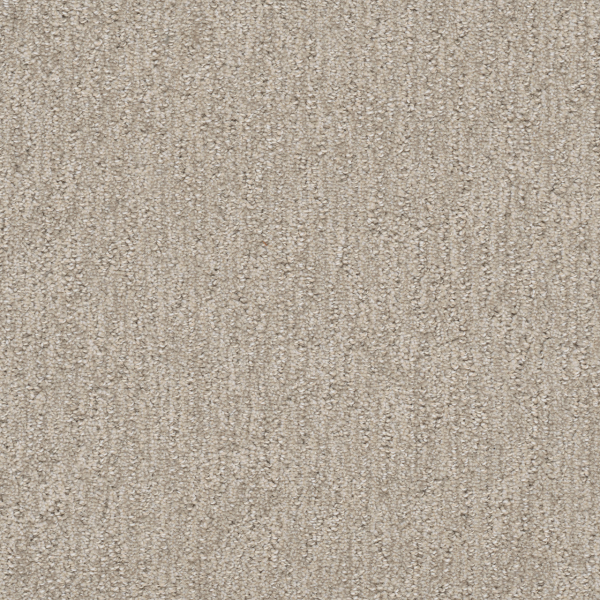 Dreamweaver Carpet Finishing Touch Cosmo DREAMWEAVER