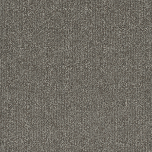 Dreamweaver Carpet Smooth Sailing Deep Secret DREAMWEAVER