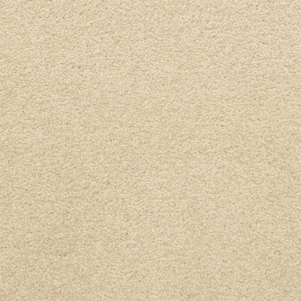 Masland Carpets Patriot Ashford Masland