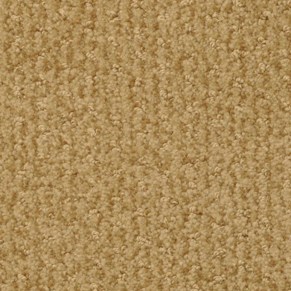 Masland Carpets Pinehurst Putter Masland