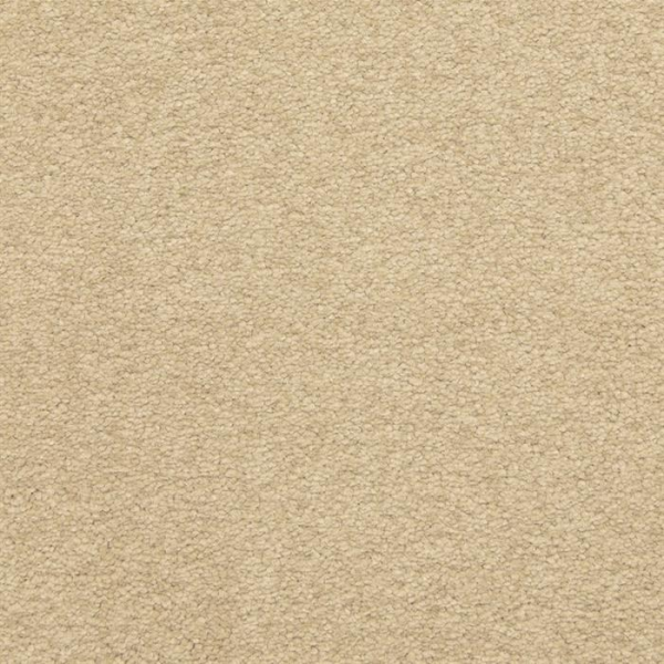 Masland Carpets Patriot Chalet Masland