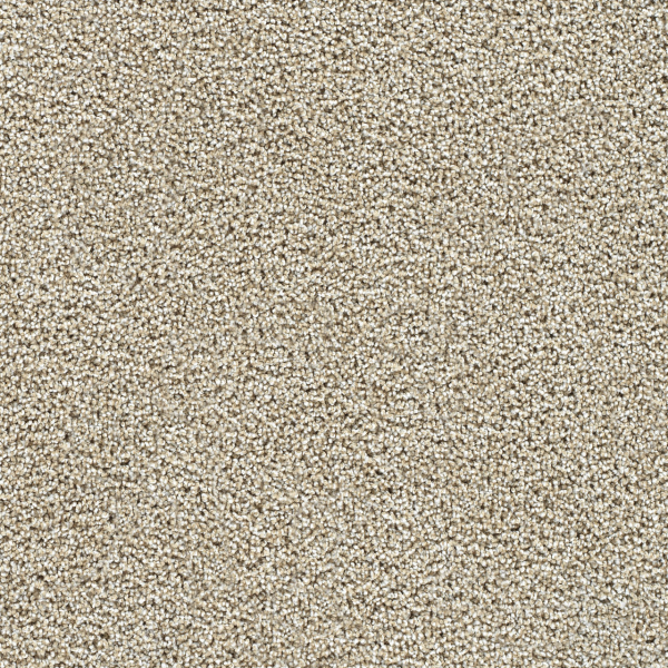 Dreamweaver Carpet Captivating II Peanut Brittle DREAMWEAVER