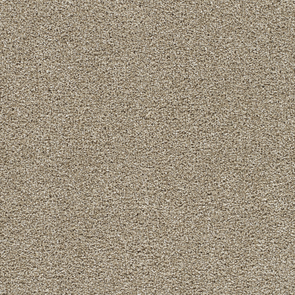 Dreamweaver Carpet Silver Lining III Dust DREAMWEAVER