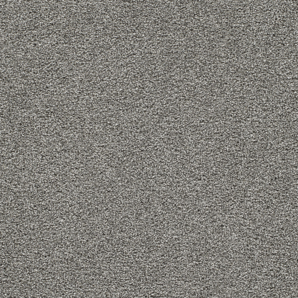 Dreamweaver Carpet Gold Standard II Platinum DREAMWEAVER