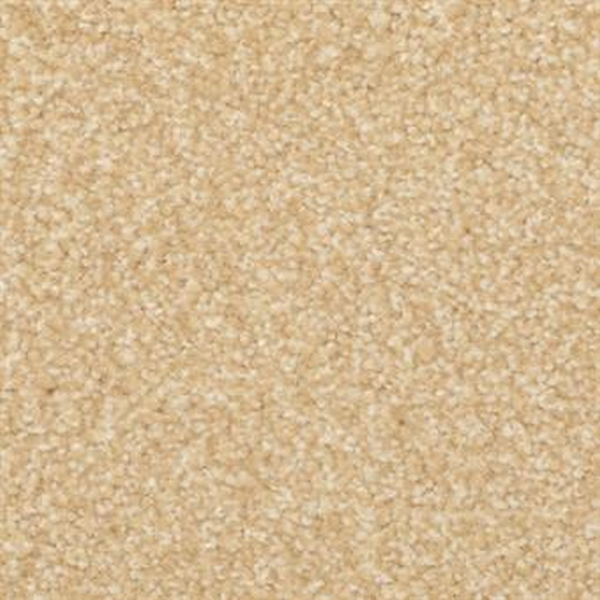 Masland Carpets Beacon Hill Almond Shell Masland