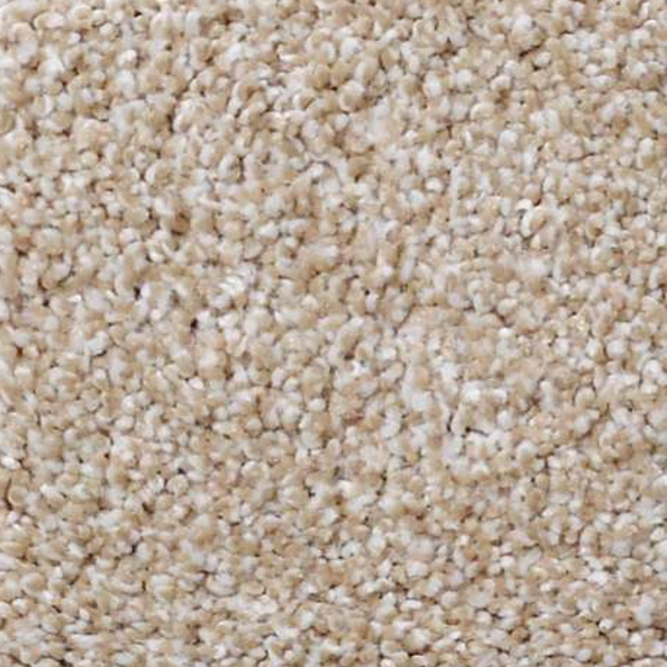 Shaw Floors Always Ready I Gold Rush SHAW