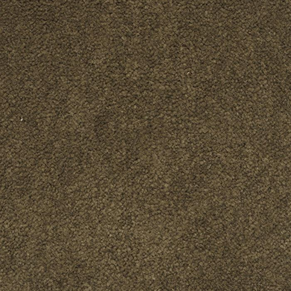 Masland Carpets Panache Khaki Masland