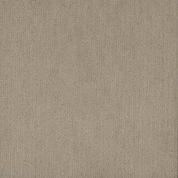 Dreamweaver Carpet Smooth Sailing Dulce DREAMWEAVER