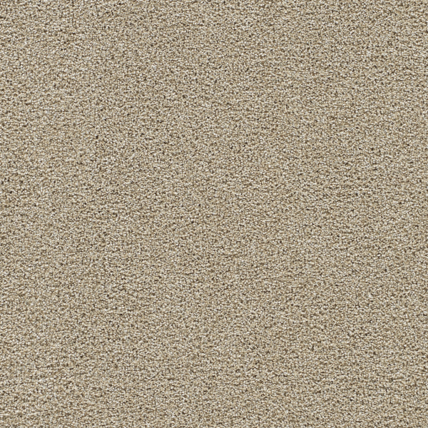 Dreamweaver Carpet Silver Lining IV Cumulus DREAMWEAVER