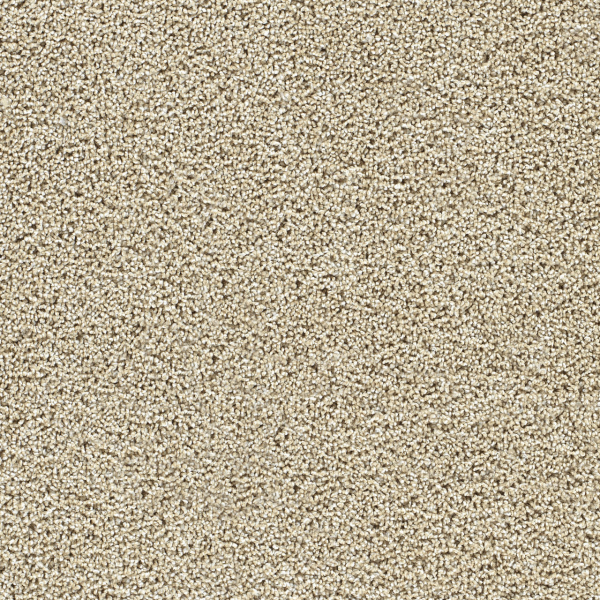 Dreamweaver Carpet Captivating I Sunflower DREAMWEAVER