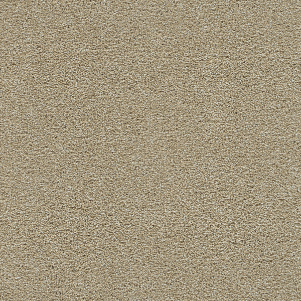 Dreamweaver Carpet Clearwater III Sunflower DREAMWEAVER